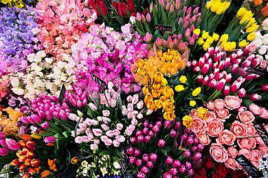 《心之眼》开发商有三百名员工收到裁员风险通知邮件