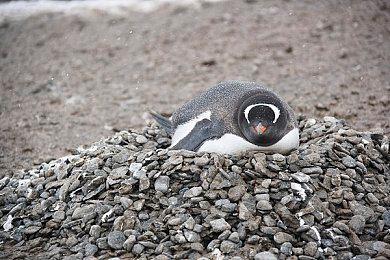 《幻想三国志》系列三部资料片 现已在Steam免费更新