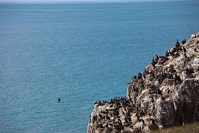 《使命召唤》系列一年丢失了5000万玩家